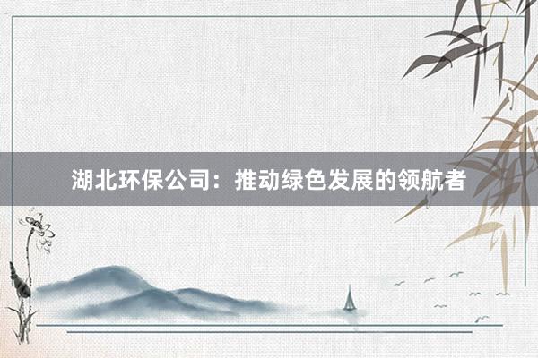 湖北环保公司：推动绿色发展的领航者